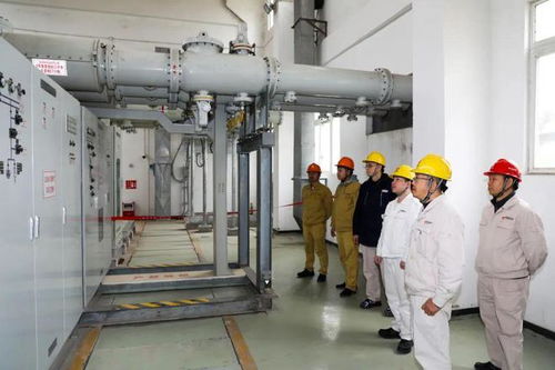 保障能源安全 國能肇慶電廠二期工程廠用電受電一次成功