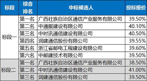 9.1億元 廣西電信區(qū)管通信建設(shè)工程設(shè)計 施工項目開標